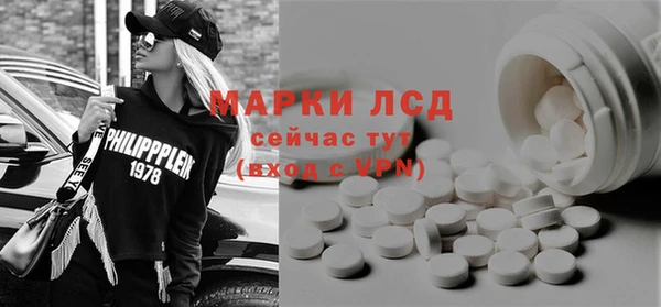 прущие грибы Алзамай