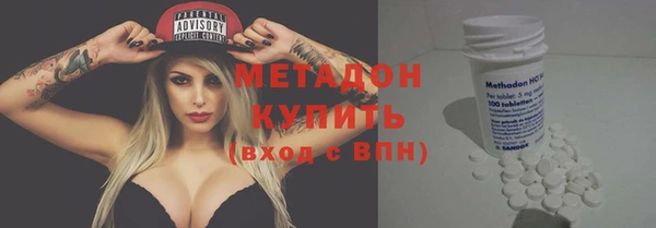 прущие грибы Алзамай