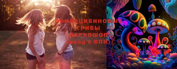 прущие грибы Алзамай
