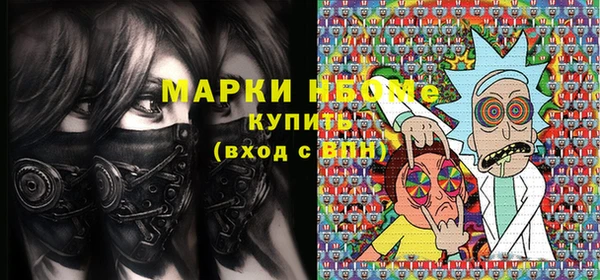 прущие грибы Алзамай
