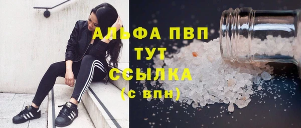 прущие грибы Алзамай
