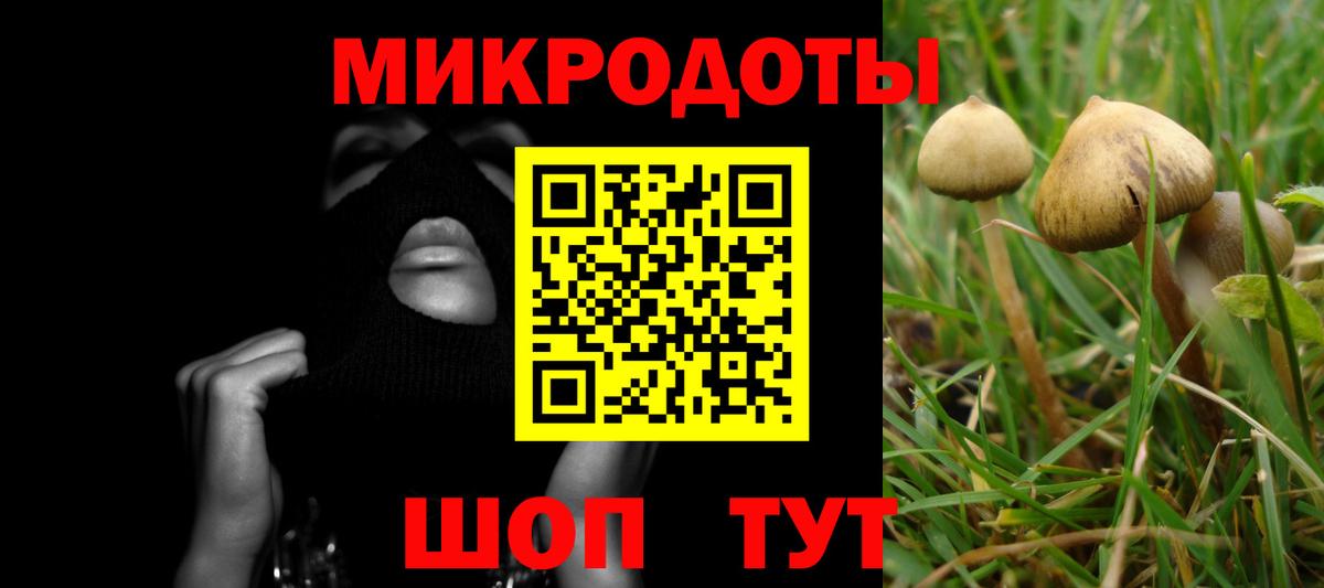 Удомля  Псилоцибиновые грибы мицелий  сколько стоит  Вход с VPN 